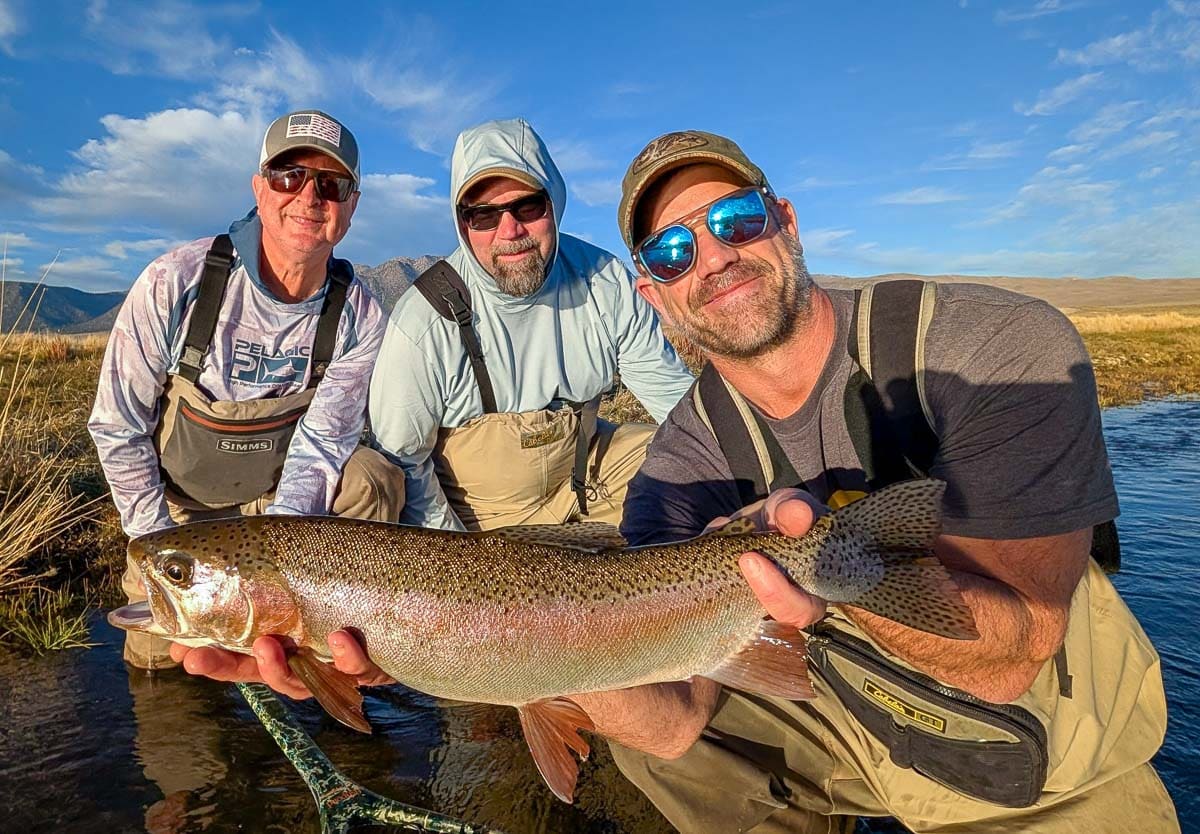 A fly fisheman holding a large rainbow trout on the Upper Owens River near Mammoth Lakes, CA