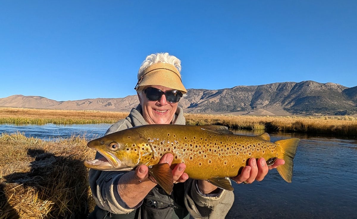 A fly fisheman holding a large brown trout on the Upper Owens River near Mammoth Lakes, CA