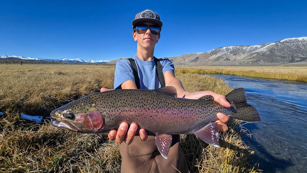 A fly fisheman holding a large brown trout on the Upper Owens River near Mammoth Lakes, CA