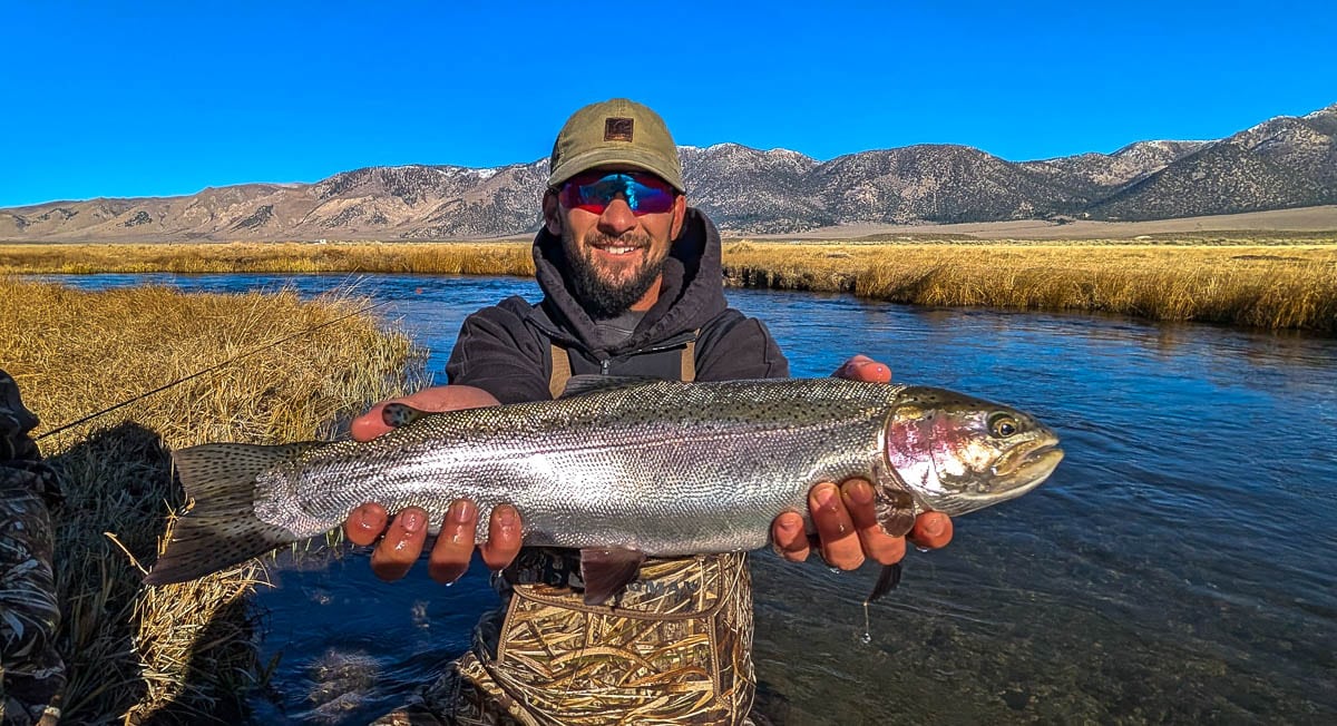 A fly fisheman holding a large rainbow trout on the Upper Owens River near Mammoth Lakes, CA