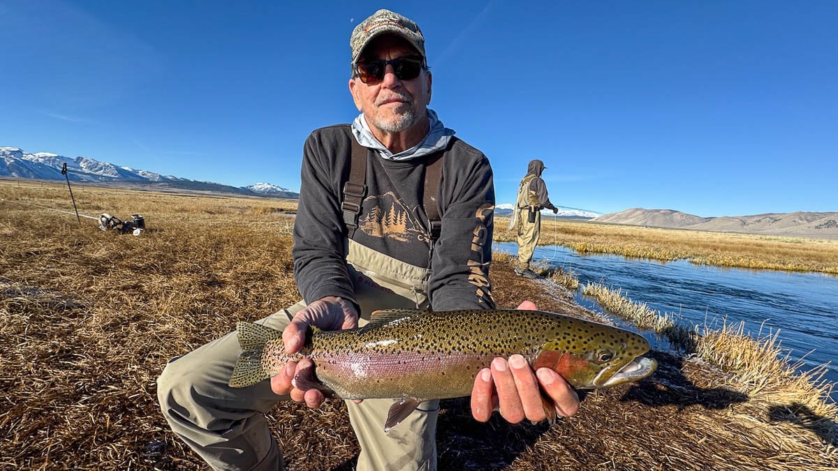 A fly fisheman holding a large brown trout on the Upper Owens River near Mammoth Lakes, CA