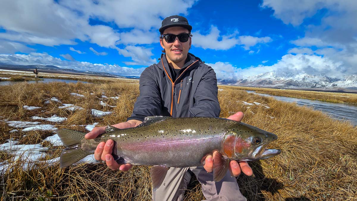 A fly fisheman holding a large rainbow trout on the Upper Owens River near Mammoth Lakes, CA