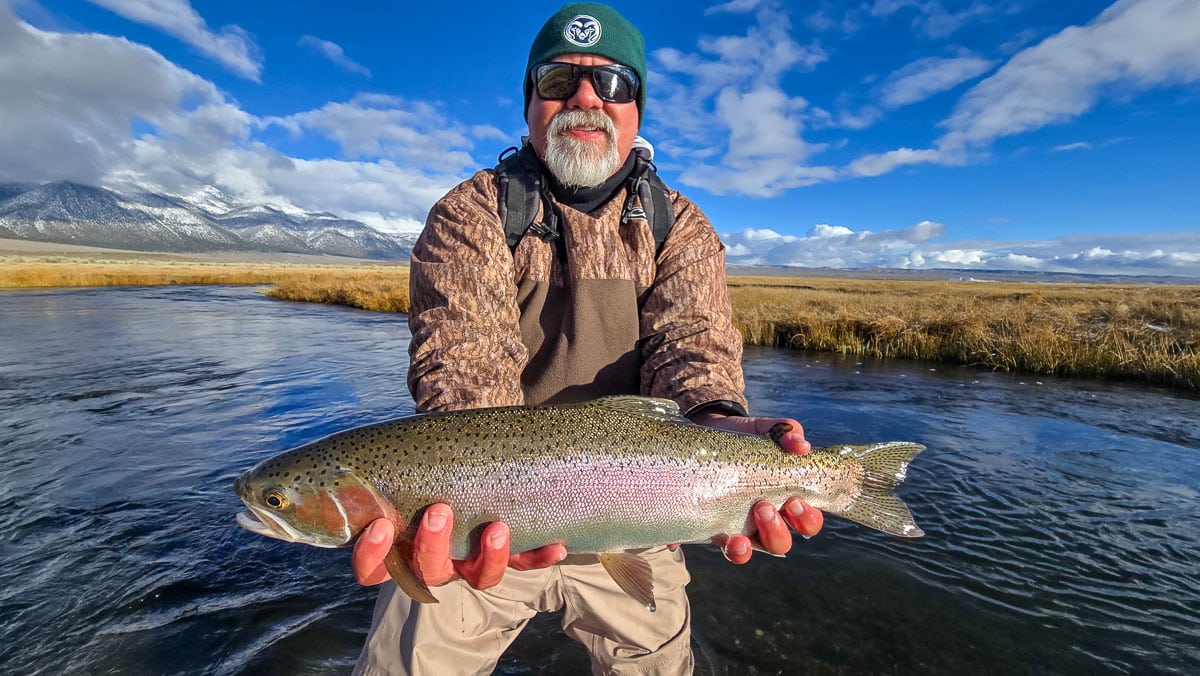 A fly fisheman holding a large rainbow trout on the Upper Owens River near Mammoth Lakes, CA