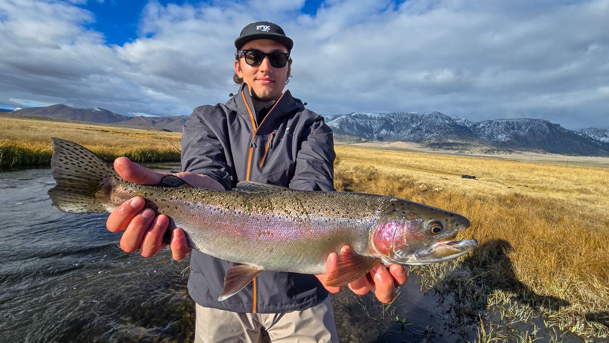 A fly fisheman holding a large rainbow trout on the Upper Owens River near Mammoth Lakes, CA