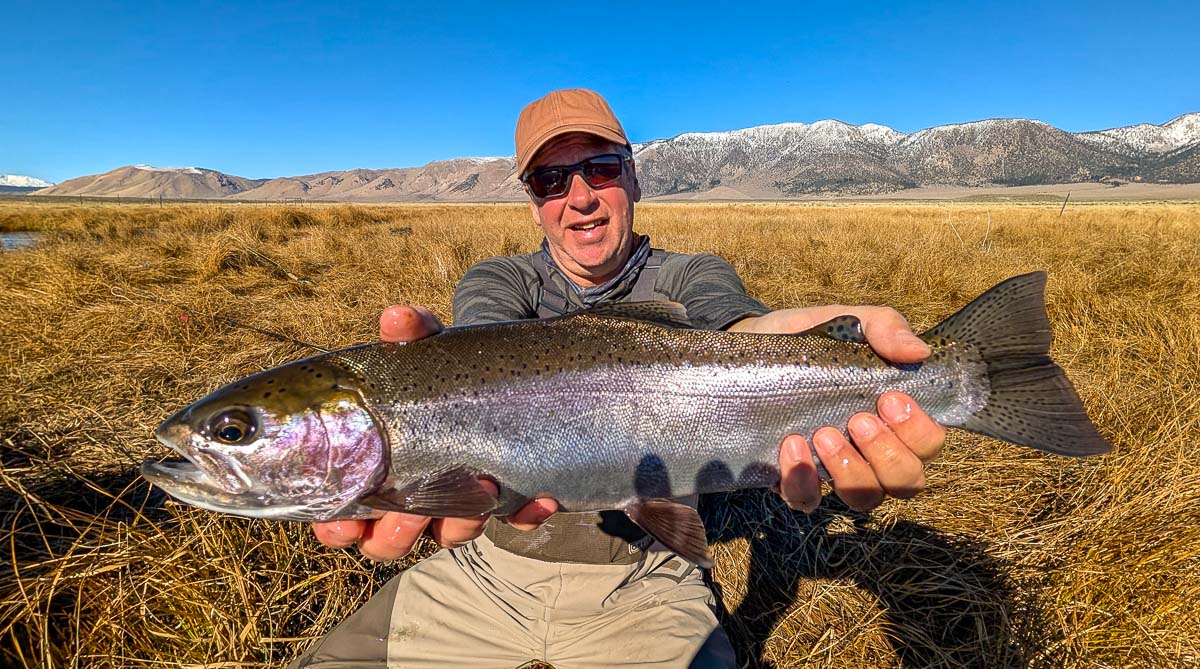 A fly fisheman holding a large brown trout on the Upper Owens River near Mammoth Lakes, CA