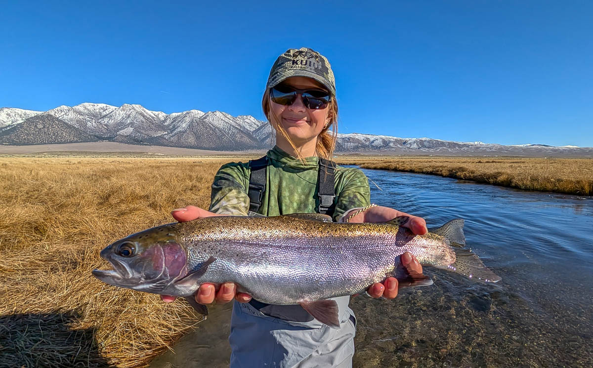 A fly fisheman holding a large rainbow trout on the Upper Owens River near Mammoth Lakes, CA