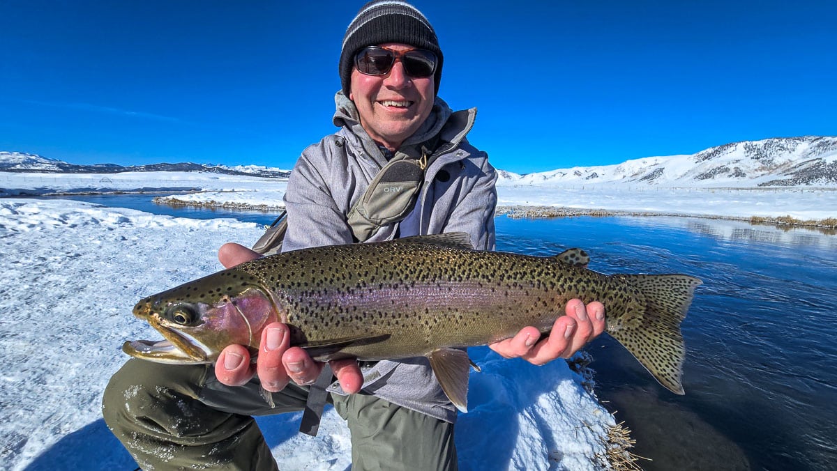 A fly fisheman holding a large rainbow trout on the Upper Owens River near Mammoth Lakes, CA