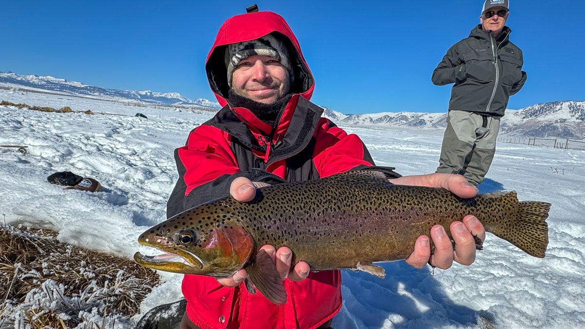 A fly fisheman holding a rainbow trout on the Lower Owens River near Bishop, CA