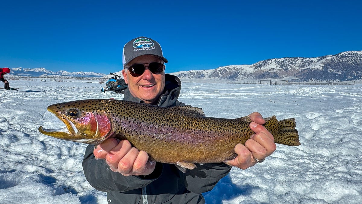 A fly fisheman holding a large rainbow trout on the Upper Owens River near Mammoth Lakes, CA