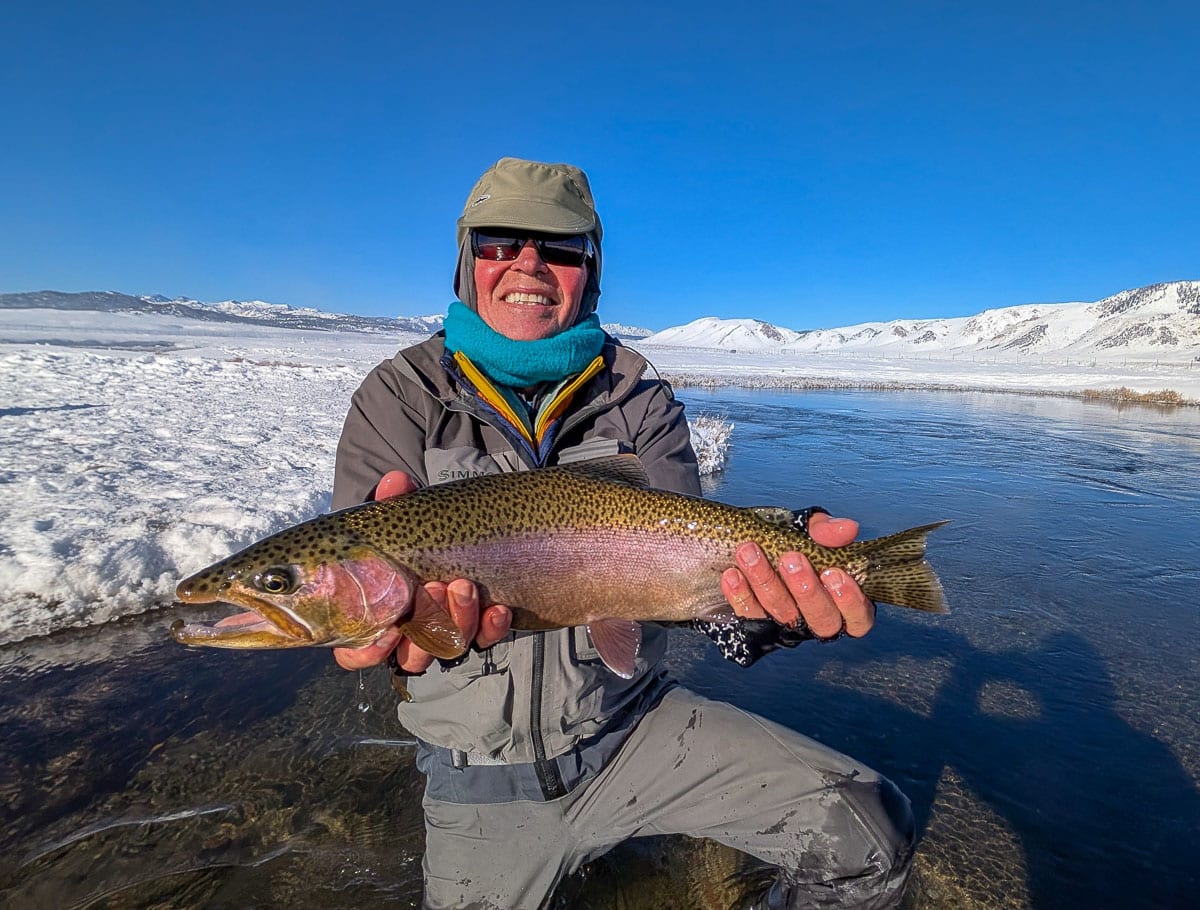 A fly fisheman holding a large rainbow trout on the Upper Owens River near Mammoth Lakes, CA