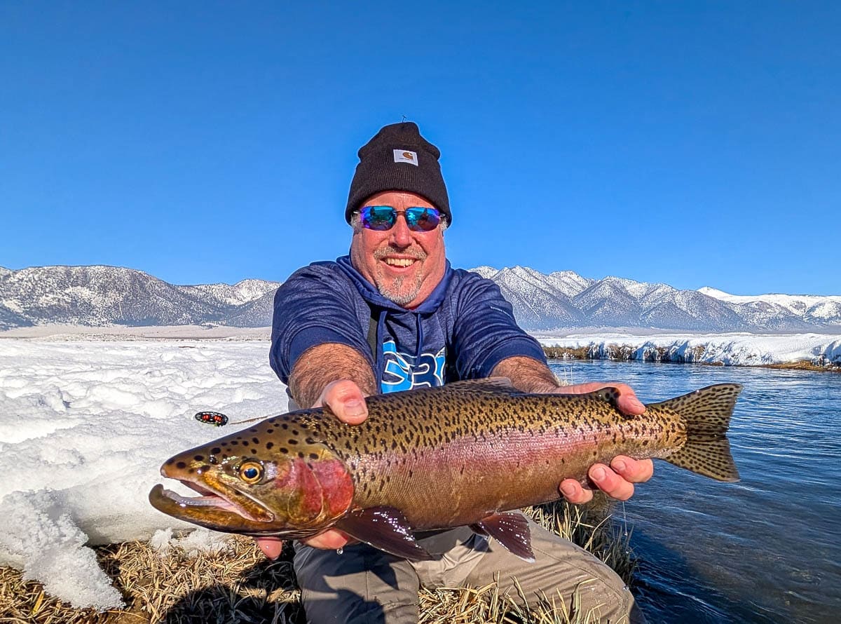 A fly fisheman holding a large rainbow trout on the Upper Owens River near Mammoth Lakes, CA