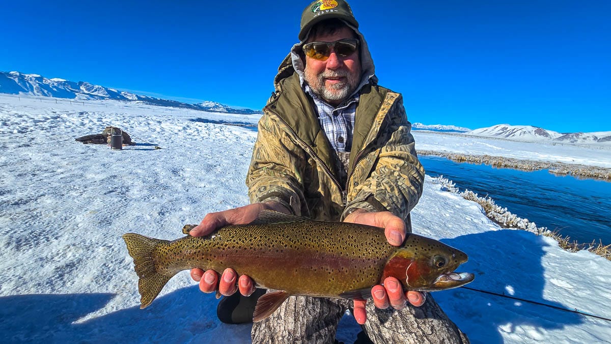 A fly fisheman holding a large rainbow trout on the Upper Owens River near Mammoth Lakes, CA