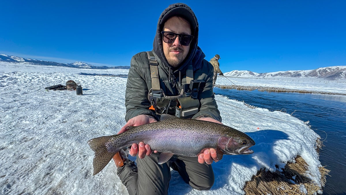 A fly fisheman holding a large rainbow trout on the Upper Owens River near Mammoth Lakes, CA