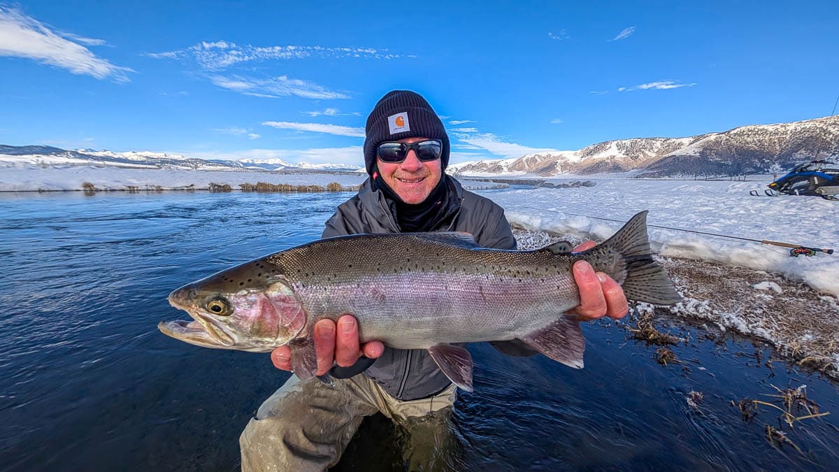 A fly fisheman holding a large rainbow trout on the Upper Owens River near Mammoth Lakes, CA