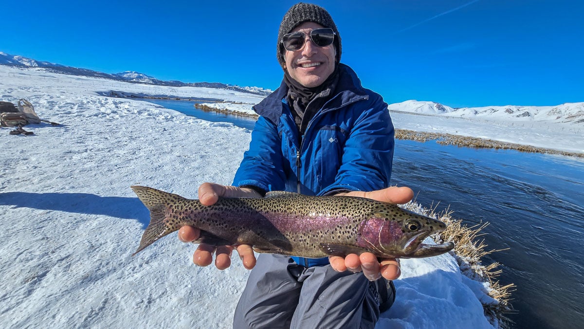 A fly fisheman holding a large rainbow trout on the Upper Owens River near Mammoth Lakes, CA