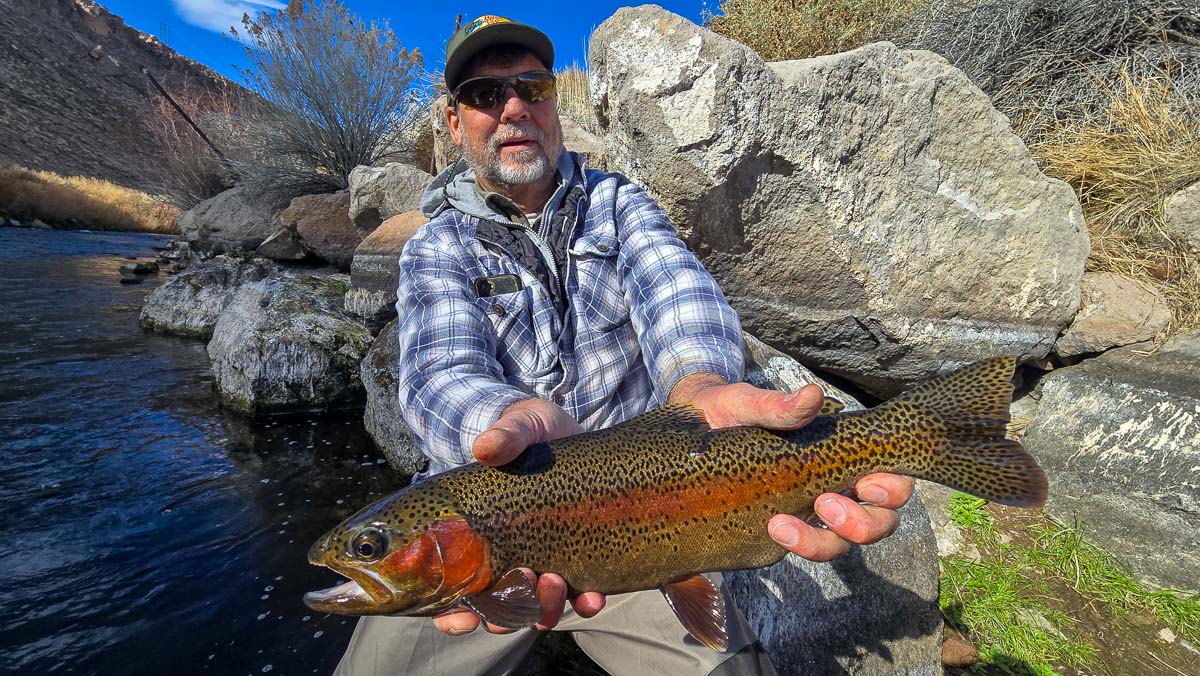 A fly fisheman holding a large rainbow trout on the Lower Owens River near Bishop, CA