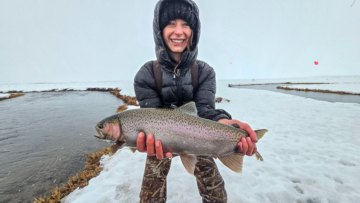 A fly fisheman holding a large rainbow trout on the Upper Owens River near Mammoth Lakes, CA