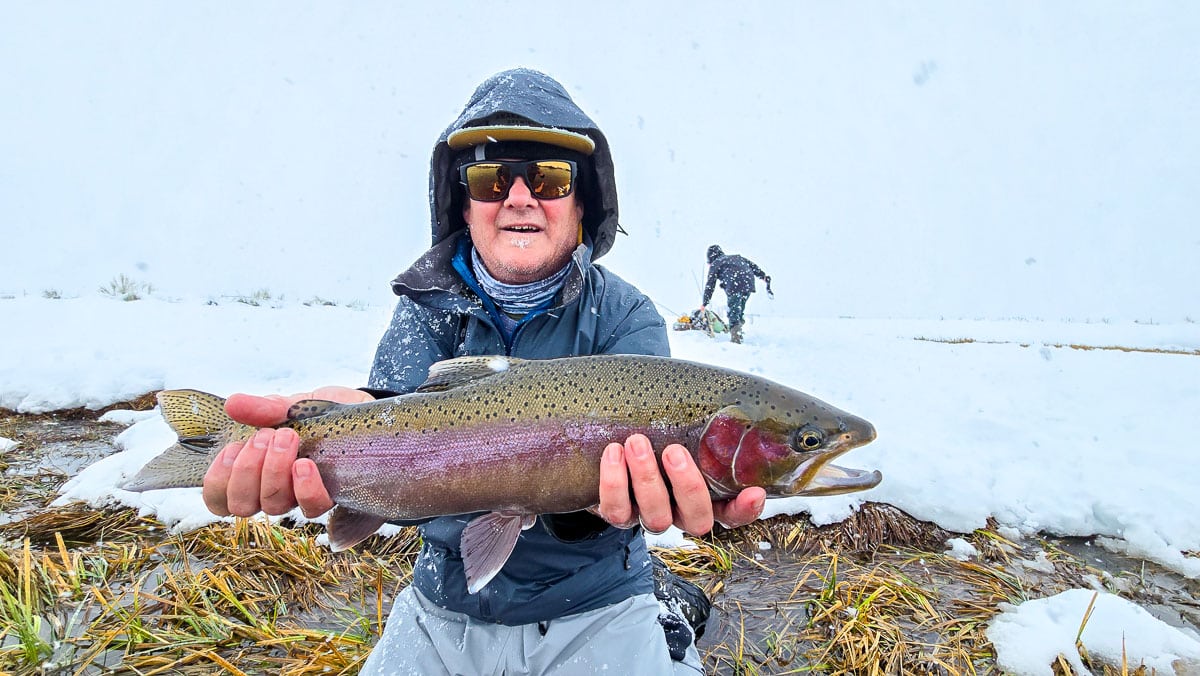 A fly fisheman holding a large rainbow trout on the Upper Owens River near Mammoth Lakes, CA