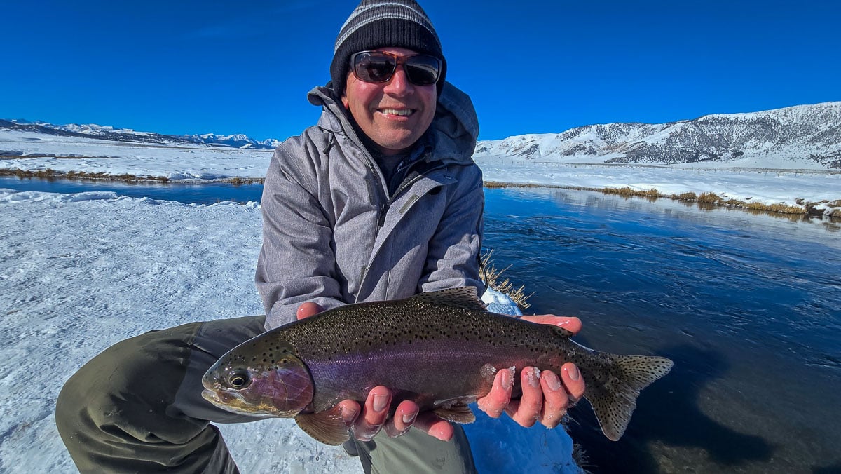 A fly fisheman holding a large rainbow trout on the Upper Owens River near Mammoth Lakes, CA