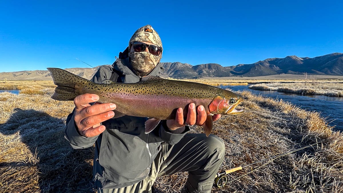 A fly fisheman holding a large rainbow trout on the Upper Owens River near Mammoth Lakes, CA