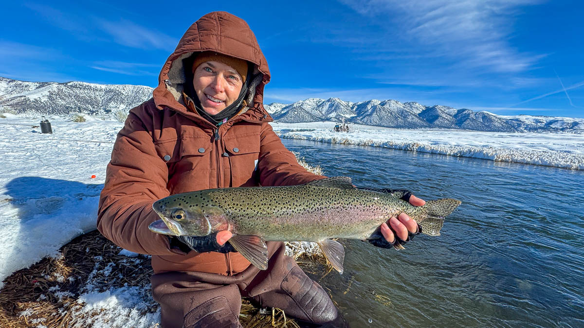 A fly fisheman holding a large rainbow trout on the Upper Owens River near Mammoth Lakes, CA