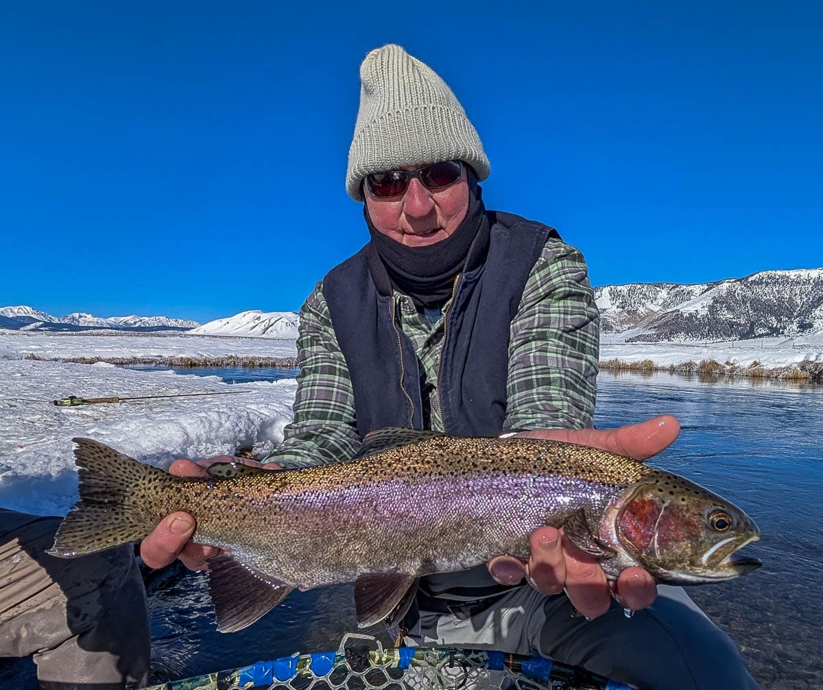 A fly fisheman holding a large rainbow trout on the Upper Owens River near Mammoth Lakes, CA
