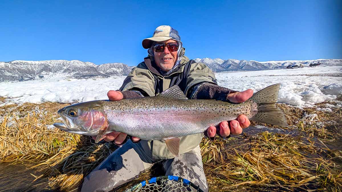 A fly fisheman holding a large rainbow trout on the Upper Owens River near Mammoth Lakes, CA