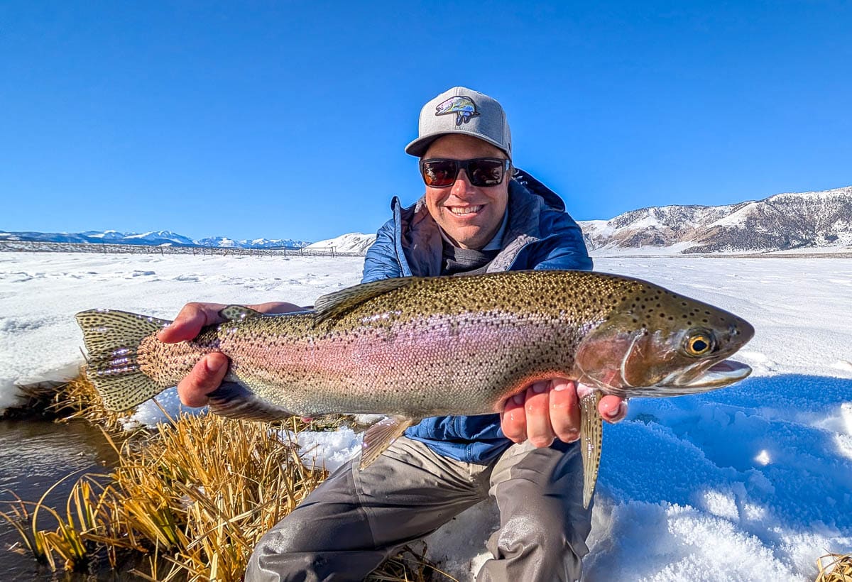 A fly fisheman holding a large rainbow trout on the Upper Owens River near Mammoth Lakes, CA