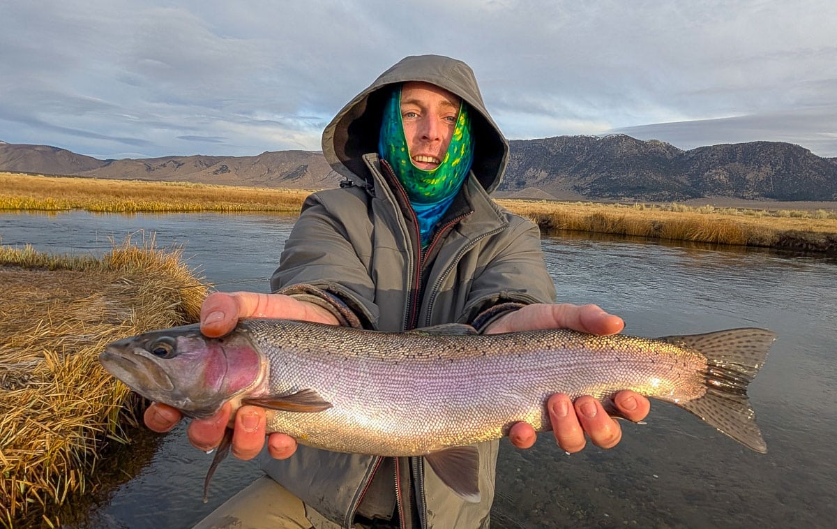 A fly fisheman holding a large rainbow trout on the Upper Owens River near Mammoth Lakes, CA