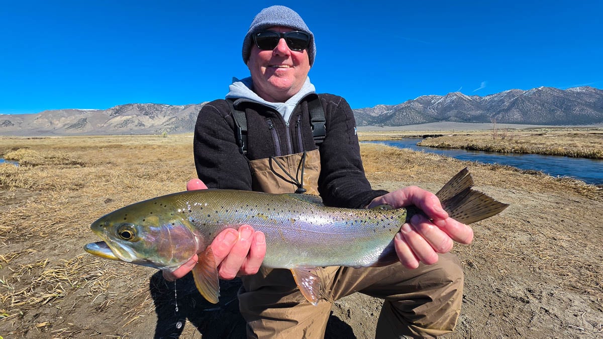 A fly fisherman holding a large rainbow trout on the Upper Owens River near Mammoth Lakes, CA