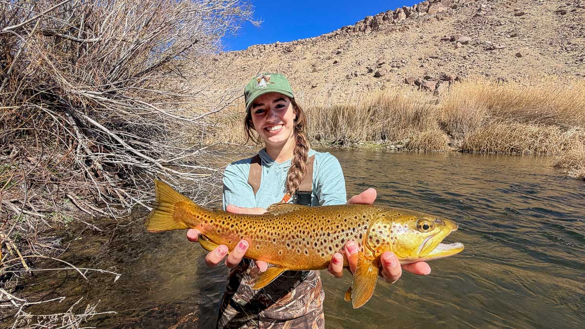 A fly fisherwoman holding a large brown trout on the Lower Owens River near Bishop, CA