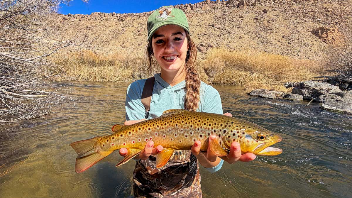 A fly fisherman holding a large brown trout on the Lower Owens River near Bishop, CA