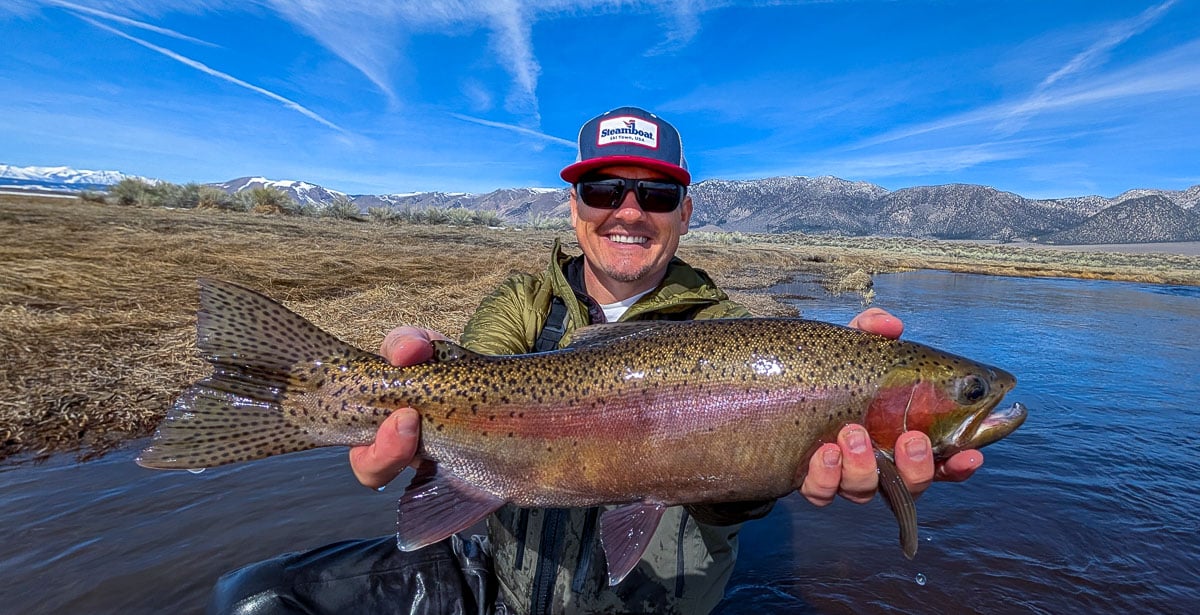 A fly fisheman holding a rainbow trout on the Lower Owens River near Bishop, CA