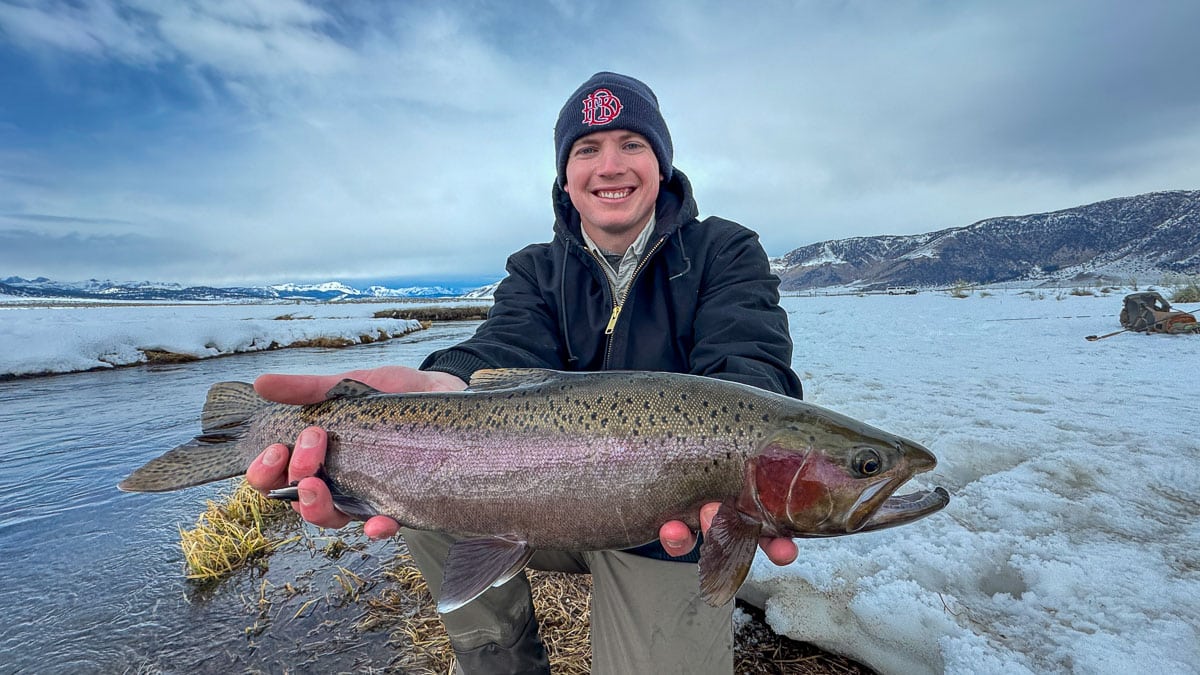 A fly fisheman holding a large rainbow trout on the Upper Owens River near Mammoth Lakes, CA