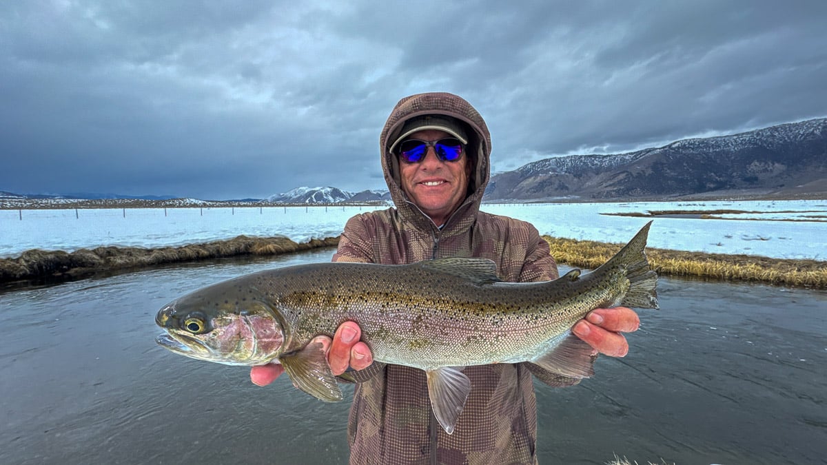 A fly fisheman holding a large rainbow trout on the Upper Owens River near Mammoth Lakes, CA