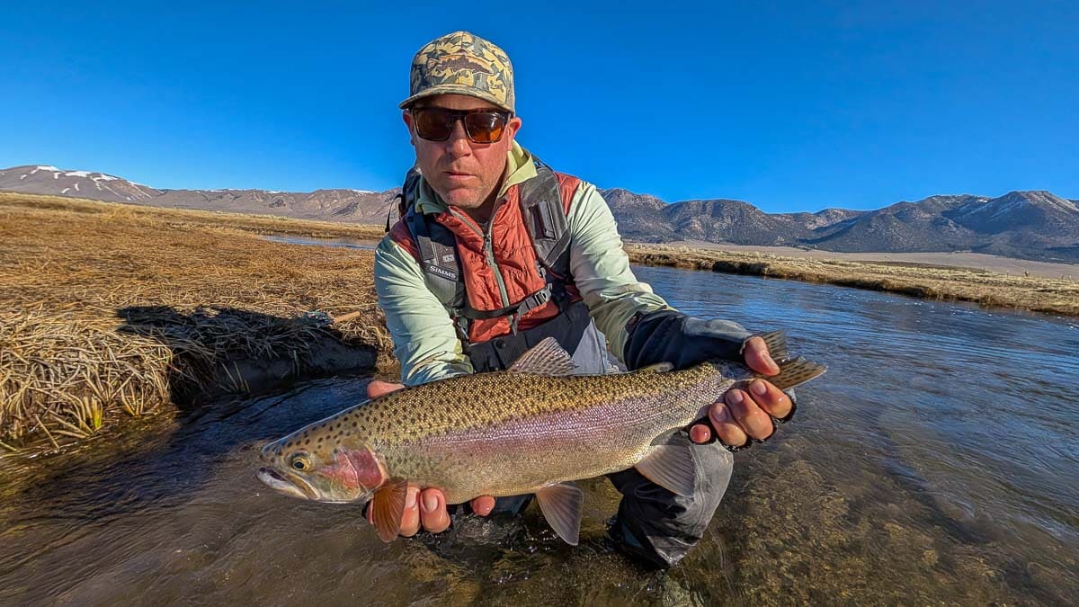 A fly fisherman holding a large rainbow trout on the Upper Owens River near Mammoth Lakes, CA