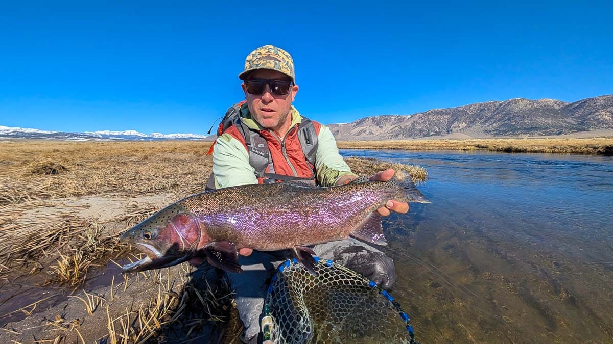 A fly fisherman holding a large rainbow trout on the Upper Owens River near Mammoth Lakes, CA