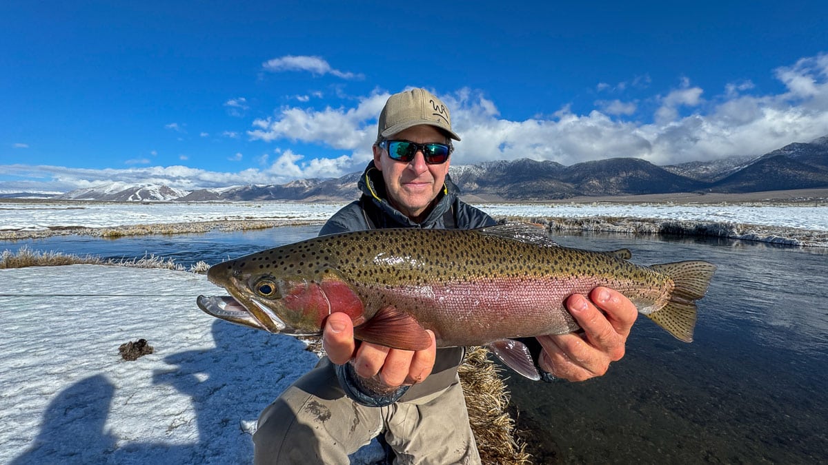 A fly fisheman holding a large rainbow trout on the Upper Owens River near Mammoth Lakes, CA