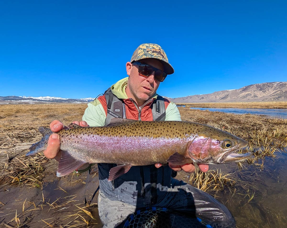 A fly fisherman holding a large rainbow trout on the Upper Owens River near Mammoth Lakes, CA