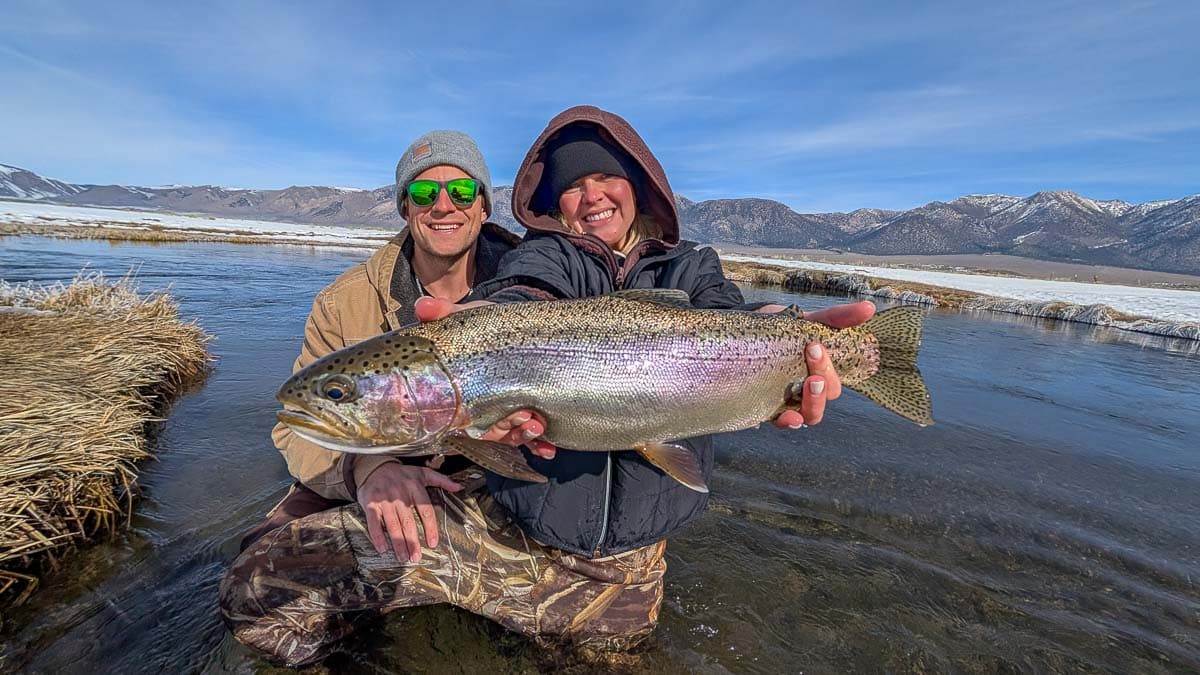 A fly fisheman holding a large rainbow trout on the Upper Owens River near Mammoth Lakes, CA