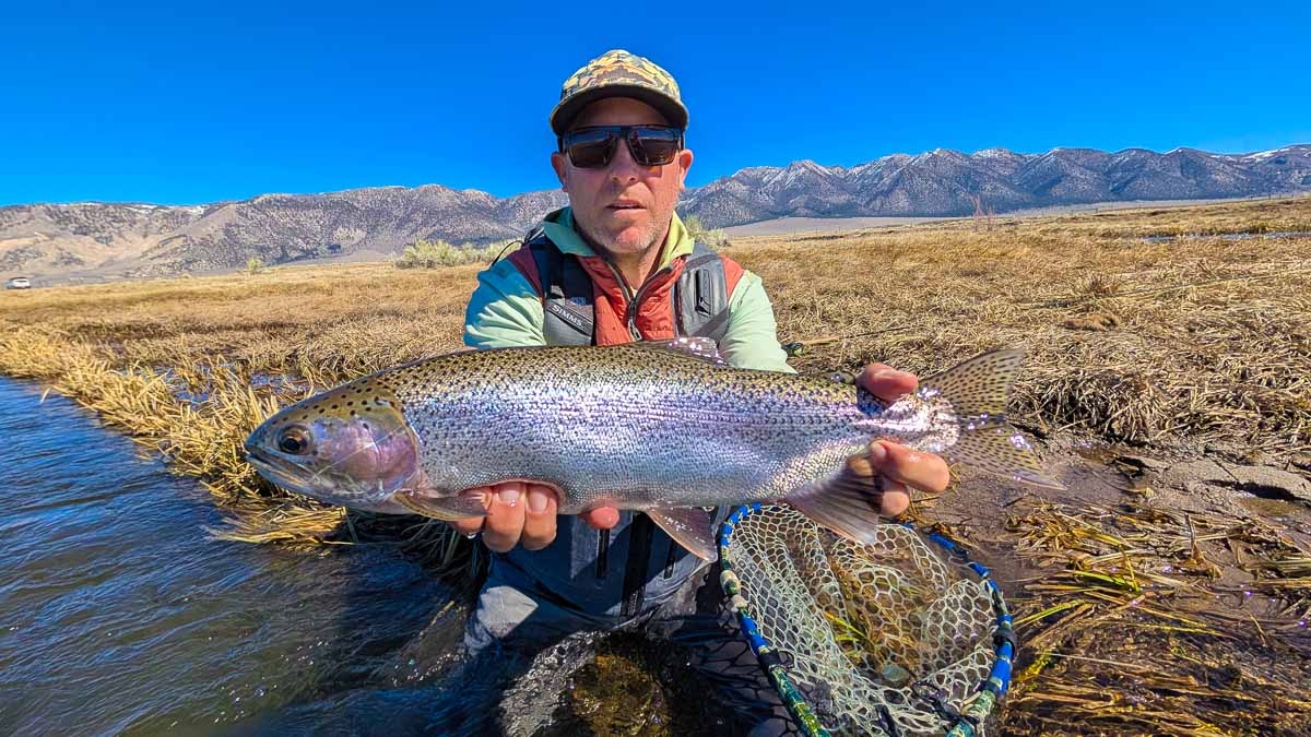 A fly fisherman holding a large rainbow trout on the Upper Owens River near Mammoth Lakes, CA