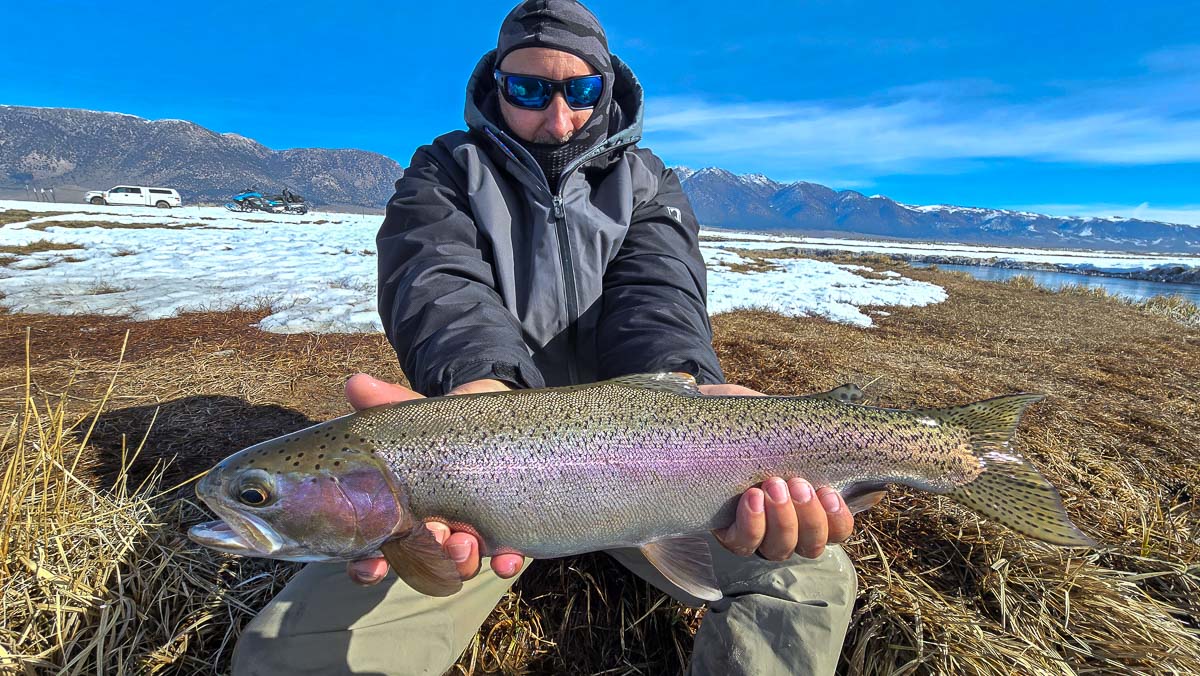 A fly fisheman holding a large rainbow trout on the Upper Owens River near Mammoth Lakes, CA