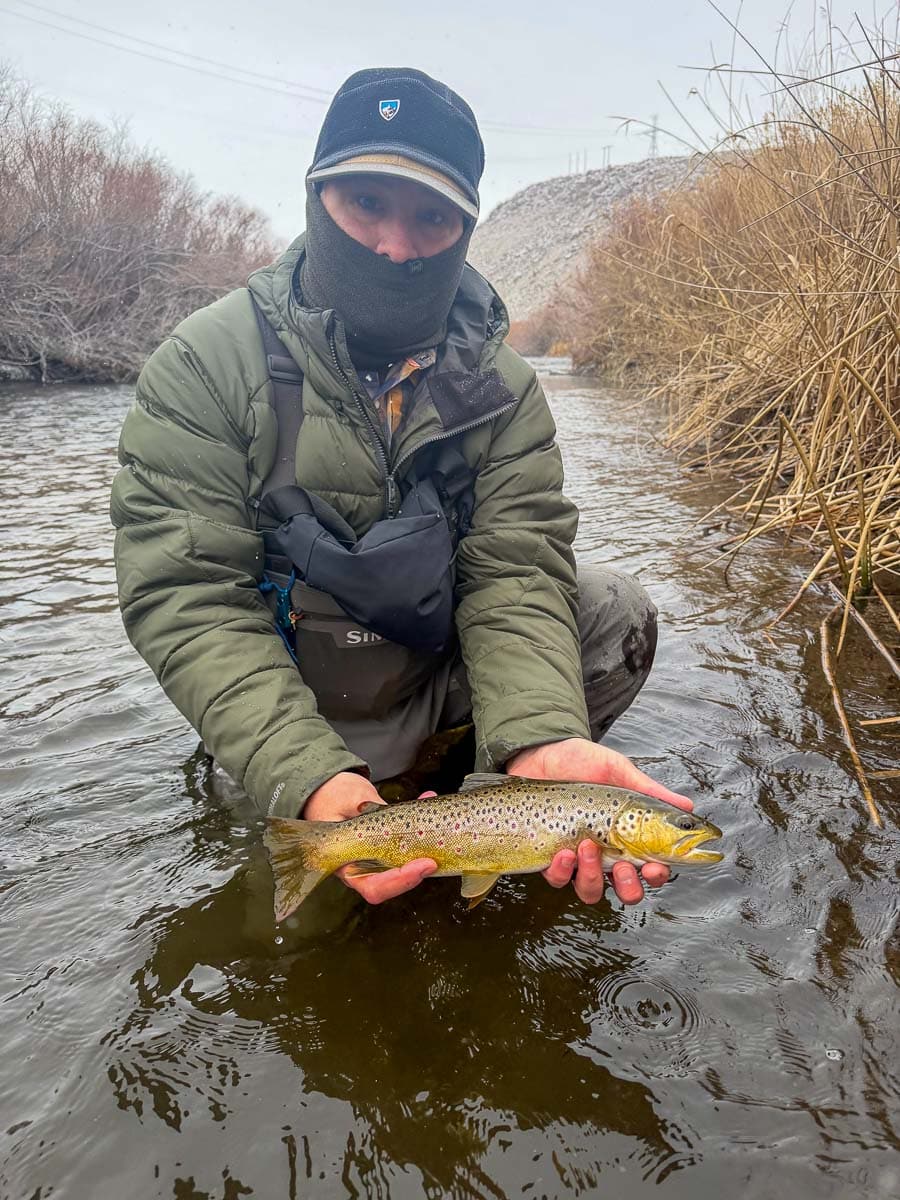 A fly fisheman holding a large rainbow trout on the Upper Owens River near Mammoth Lakes, CA