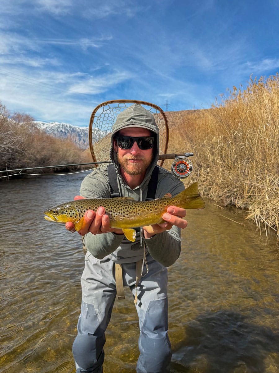 A fly fisheman holding a large rainbow trout on the Upper Owens River near Mammoth Lakes, CA