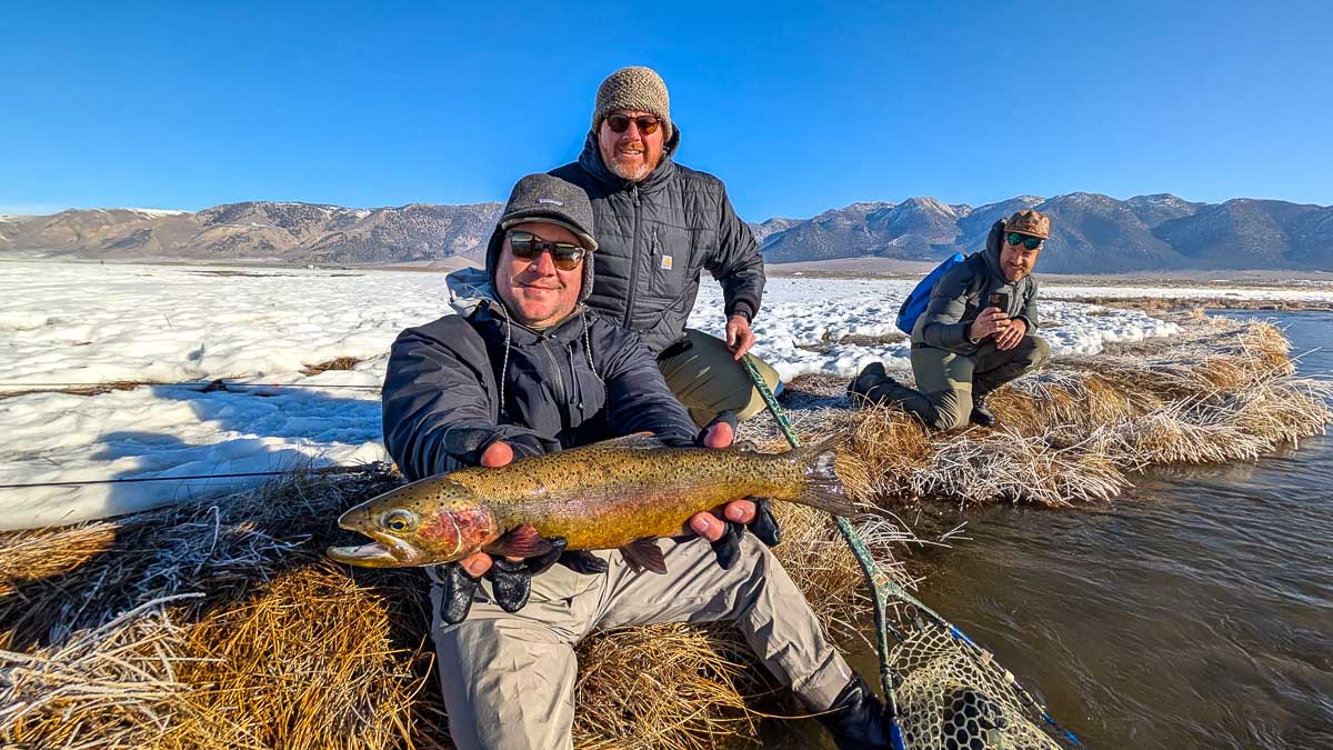 A fly fisheman holding a large rainbow trout on the Upper Owens River near Mammoth Lakes, CA