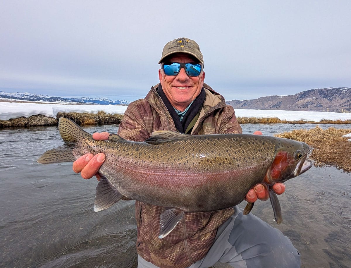 A fly fisheman holding a large rainbow trout on the Lower Owens River near Bishop, CA