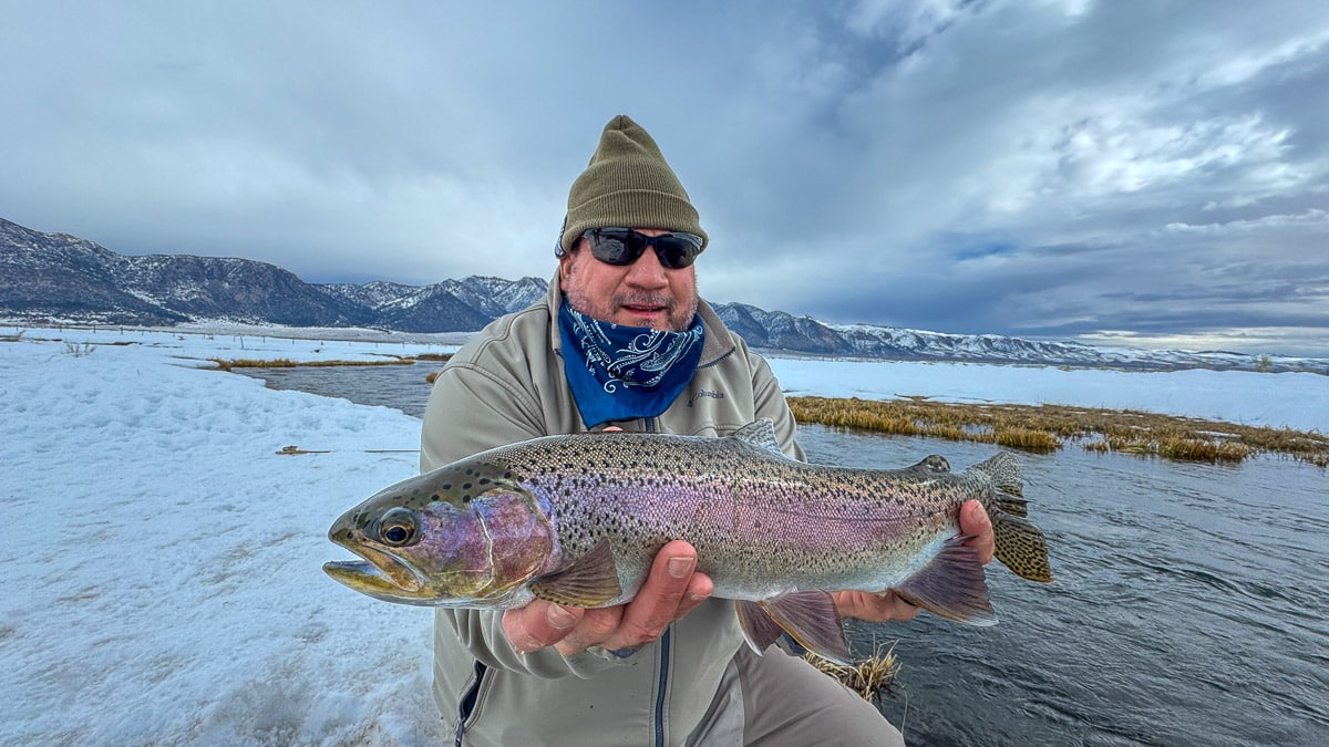 A fly fisheman holding a large rainbow trout on the Upper Owens River near Mammoth Lakes, CA
