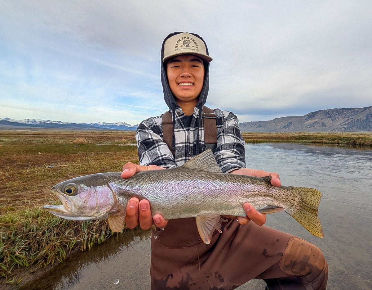 A fly fisherman holding a large rainbow trout on the Upper Owens River near Mammoth Lakes, CA