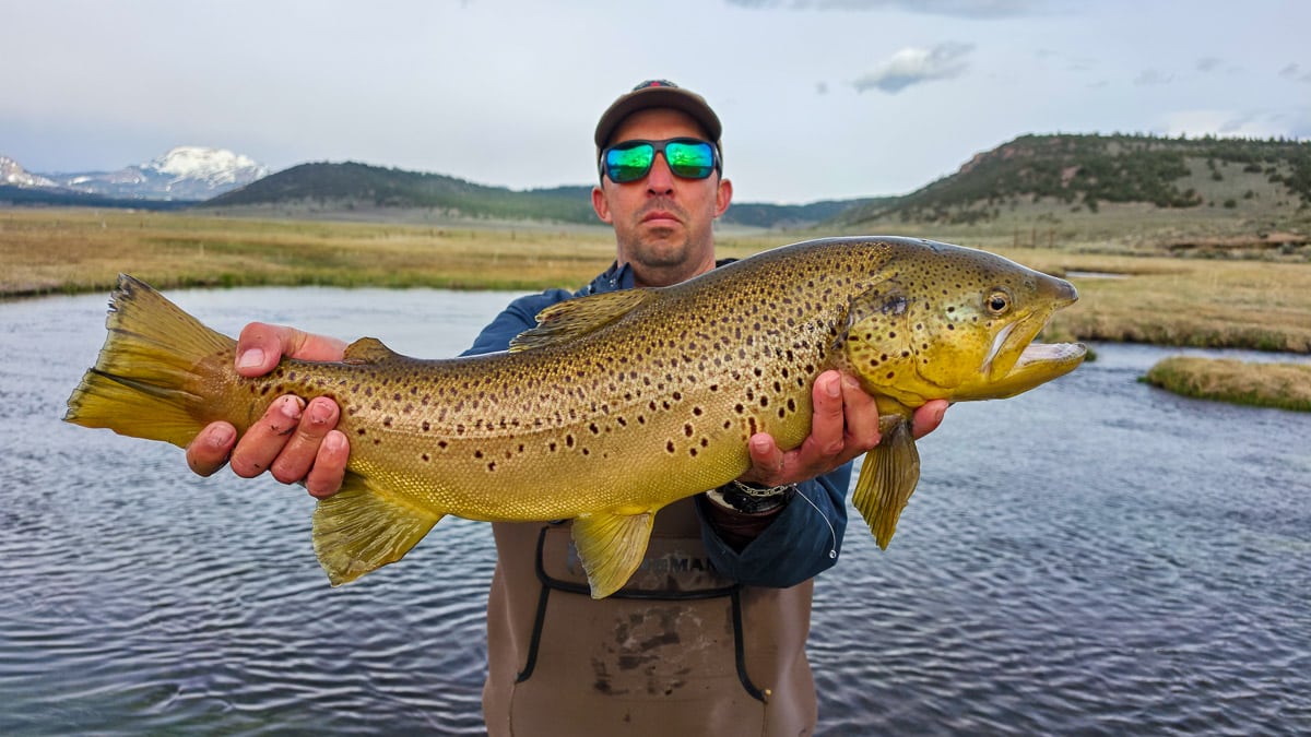 A fly fisherman holding a gigantic brown trout from Hot Creek near Mammoth Lakes, CA