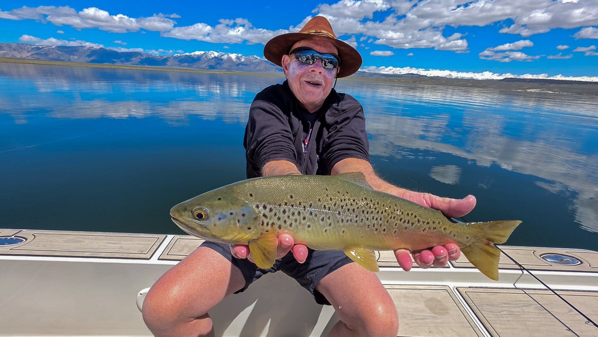A fly fisherman holding a large rainbow trout on the Upper Owens River near Mammoth Lakes, CA